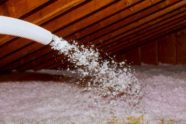 Best Geographic-Specific Insulation Services in Pleasureville, KY