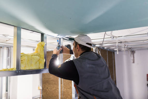 Best Spray Foam Insulation in Pleasureville, KY