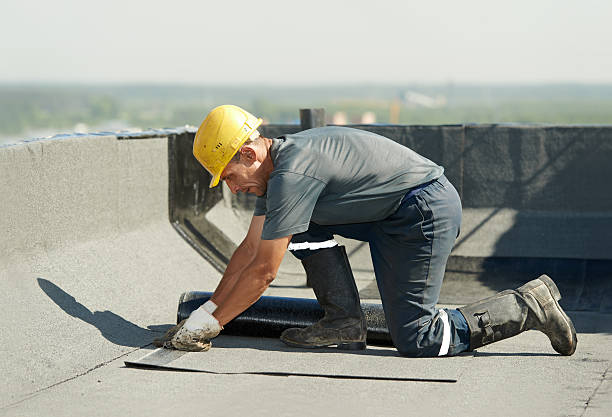 Best Eco-Friendly Insulation in Pleasureville, KY