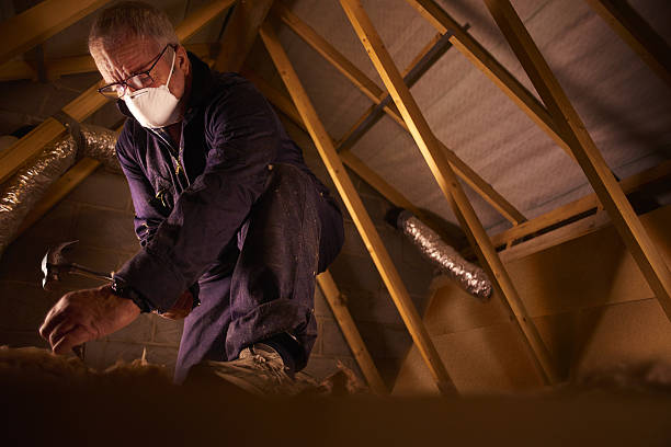 Best Cellulose Insulation in Pleasureville, KY